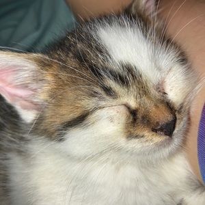 Meet your Posher, Ashlynn